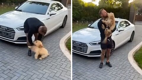 Ecstatic Pup Lovingly Welcomes Owner Home From Work