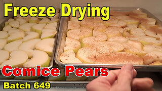 Batch 649 Freeze Drying - Comice Pear Slices