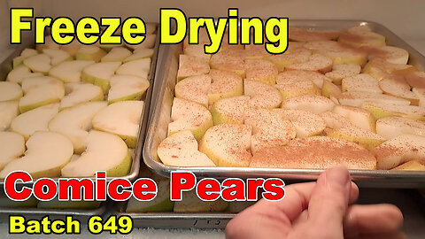 Batch 649 Freeze Drying - Comice Pear Slices