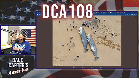 DCA108 - SAVE THE WHALES