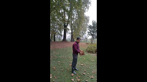 Remembering Memories of Mughal Garden, Srinagar