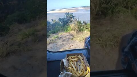 Fish & Chips in the boot @ Manning Estuary NSW 🇦🇺