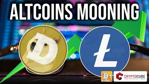 Dogecoin and Litecoin price predictions, In depth cycles and fundamental analysis, DOGE LTC