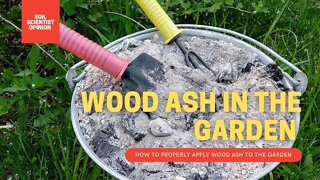 HOW TO APPLY WOOD ASH TO GARDEN SOIL. A SOIL SCIENTIST EXPLAINS THE PROPER WAY TO USE WOOD ASH 🚨