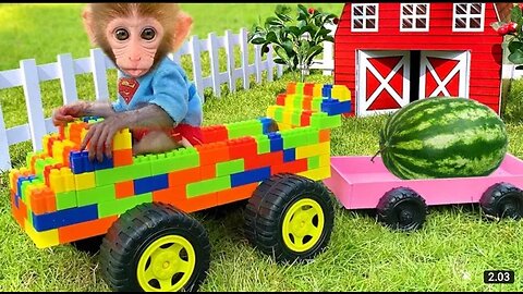 Baby Monkey Broken Truck While Harvesting Fruit and Get Helped By Puppy