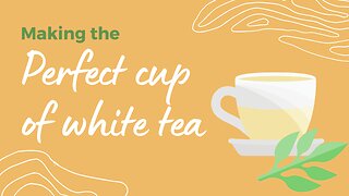 The Perfect Cup of White Tea!