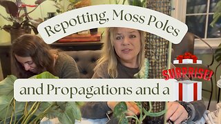 🧤 An Evening of Repotting, Moss Poles and Propagations!! 🍃