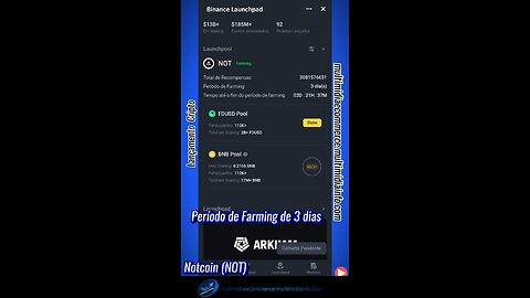 LANÇAMENTO CRIPTO - Binance Launchpad lança a Criptomoeda NOT (Notcoin)