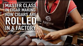 Master Class in Cigar Making: How Cigars Are Rolled In A Factory