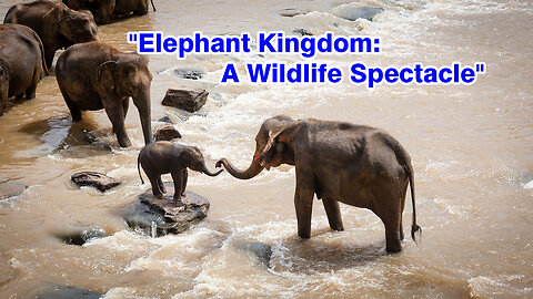 "Elephant Kingdom: A Wildlife Spectacle"