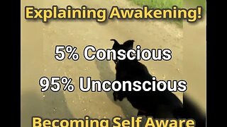 MM# 535 - What Is Awakening? Explaining the 5% Conscious and 95% Unconscious 💤 State Of Our Being 🥱
