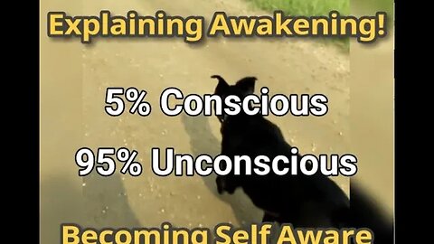 MM# 535 - What Is Awakening? Explaining the 5% Conscious and 95% Unconscious 💤 State Of Our Being 🥱