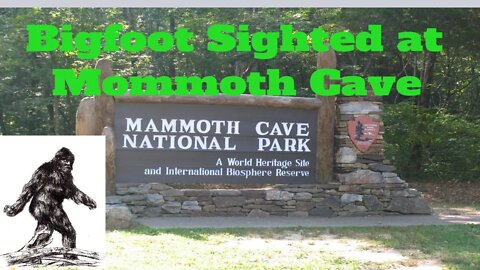 Bigfoot Sighted at mommoth cave - shooting at bigfoot in kentucky at mammoth cave national park