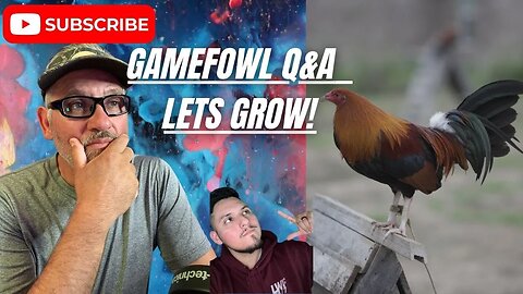 You GOT QUESTIONS We Got Answers / Gamefowl Gamefarm Q&A
