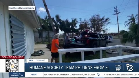 San Diego Humane Society team returns from Hurricane Ian relief