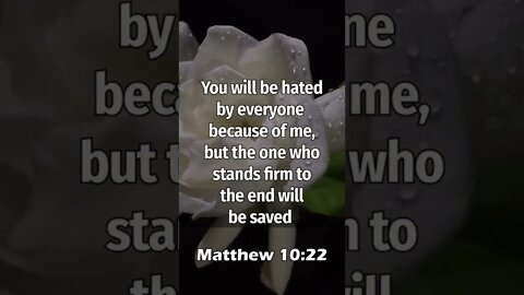 YOU WILL BE HATED BUT STAND FIRM! | MEMORIZE HIS VERSES TODAY | Matthew 10:22 With Commentary!