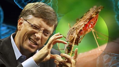 ( -0420) To Spoiled Kid Bill Gates We're Just His Mosquito Farm