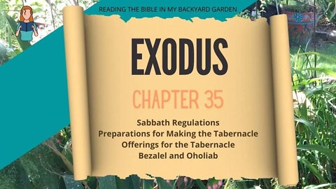 Exodus Chapter 35 | NRSV Bible | Read Aloud
