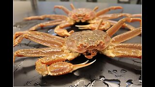 10 BILLION ALASKA SNOW CRABS HAVE DISAPPEARD - BELIEVED TO HAVE STARVED OR BEEN EATEN