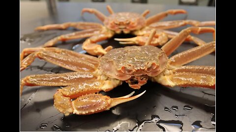 10 BILLION ALASKA SNOW CRABS HAVE DISAPPEARD - BELIEVED TO HAVE STARVED OR BEEN EATEN