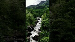 Rhythmic Waters: Flowing River Rhythm 🌊🍃 - #Shorts #YouTubeShorts #NatureSounds