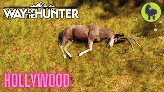Hollywood | Way of the Hunter (PS5 4K)