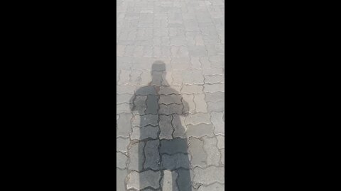 shadow man