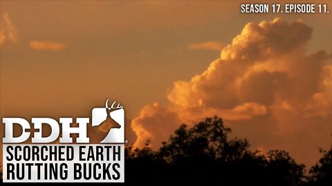 Scorched Earth and Rutting Bucks | Deer & Deer Hunting TV