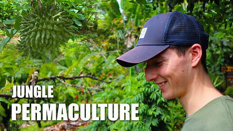 Permaculture Tour Costa Rica | Jungle Filled With Fruits and Wild Edible Plants
