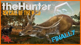 Sambar 🎯 Challenge - With The 6.5 MM - Diamond & Rare Hunting - theHunter: Call of the Wild