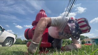 Brunswick man who calls himself 'the Picasso of fire hydrants' adopts and paints dozens of them