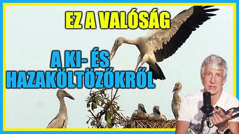 Ez a valóság a ki- és hazaköltöző magyarokról - Hobbista Hardcore 23-08-20