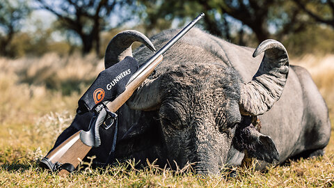 Argentina Water Buffalo & Axis Deer | Mark V Peterson Hunting