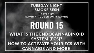 🎙️Tuesday Night Smoke Sesh Round 15 w/ David Yrigoyen (mmj_david) | The Endocannabinoid System🌿