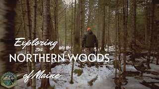 Exploring the semi-frozen woods of Maine