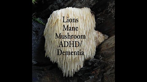 Lions Mane Mushroom For Adhd/ Dementia- Episode 16