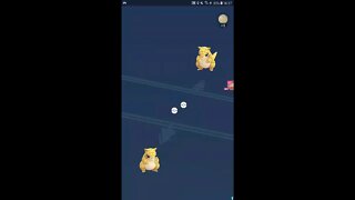 Veja a minha live de Pokémon GO