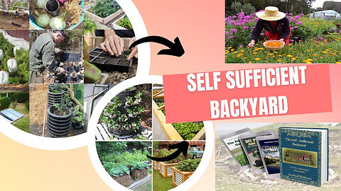 The Self-Sufficient Backyard Book Review: Don't Buy Before You Watch This