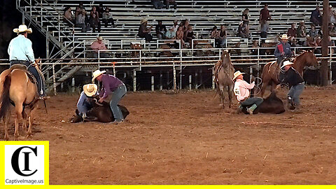 Stray Gathering - 2022 Saint's Roost Ranch Rodeo | Friday