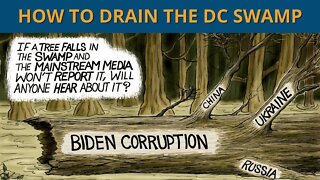 How to Fire the DC Swamp