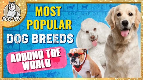 Most Popular Dog Breeds Around the World