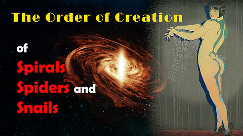 The Order of Creation – of Spirals, Spiders and Snails