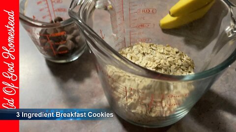 3 Ingredient Breakfast Cookies