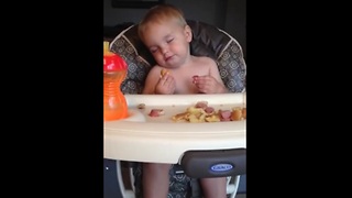 Baby falls asleep while eating in his highchair