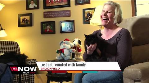 20-year-old special needs cat reunited with Brookfield family