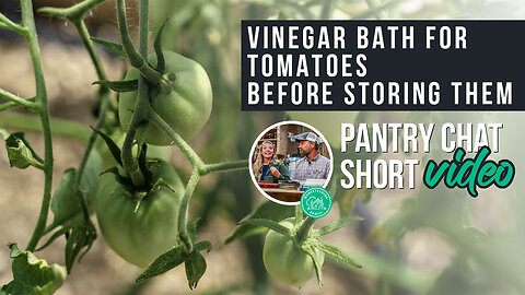 Rinsing Tomatoes in Vinegar BEFORE Storing? | Pantry Chat Podcast SHORT