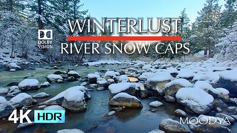 4K HDR Nature Video - Winter WonderLust - Soothing Comfort