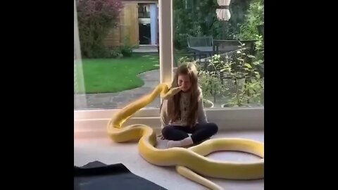A girl with a giant pet snake