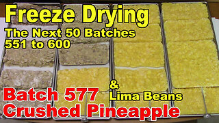 Freeze Drying - The Next 50 Batches - Batch 577 - Crushed Pineapple & Lima Beans w/Bacon and Onions