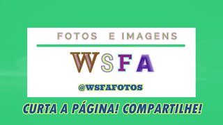 WSFA - primeiro encerramento dos vídeos do Canal